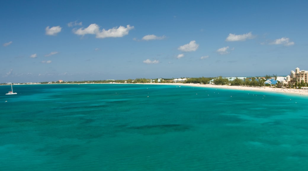 Cayman Islands showing landscape views, a sandy beach and tropical scenes