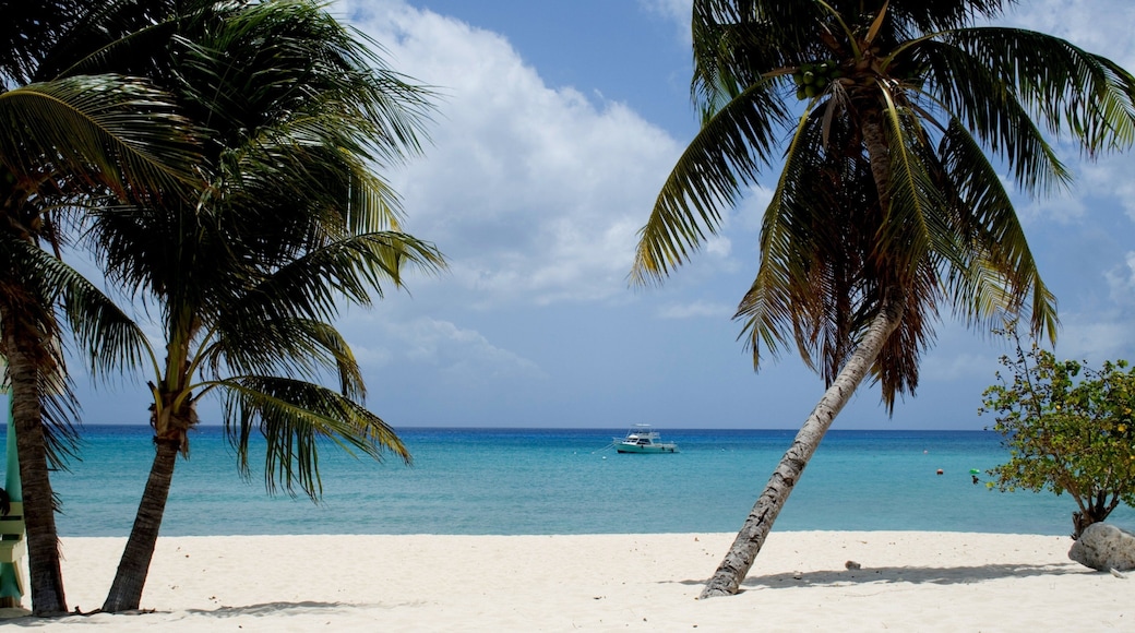 Cayman Islands which includes landscape views, tropical scenes and a sandy beach