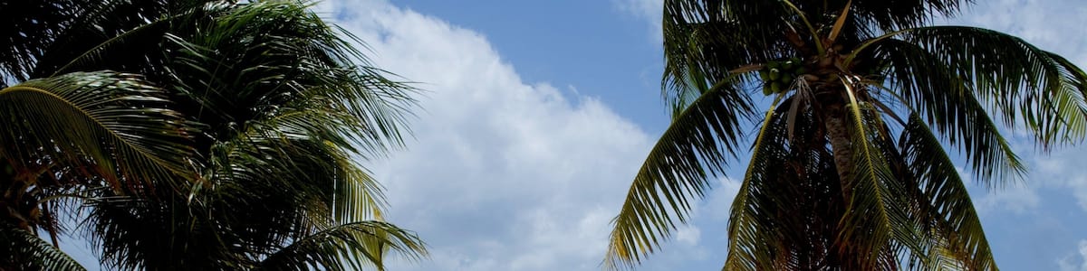 Kaimaninseln mit einem Landschaften, tropische Szenerien und Bootfahren