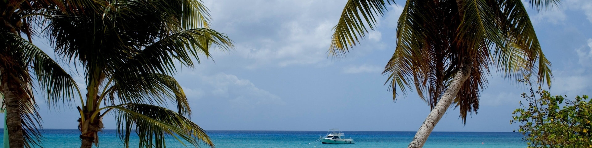 Cayman Islands which includes landscape views, tropical scenes and a sandy beach