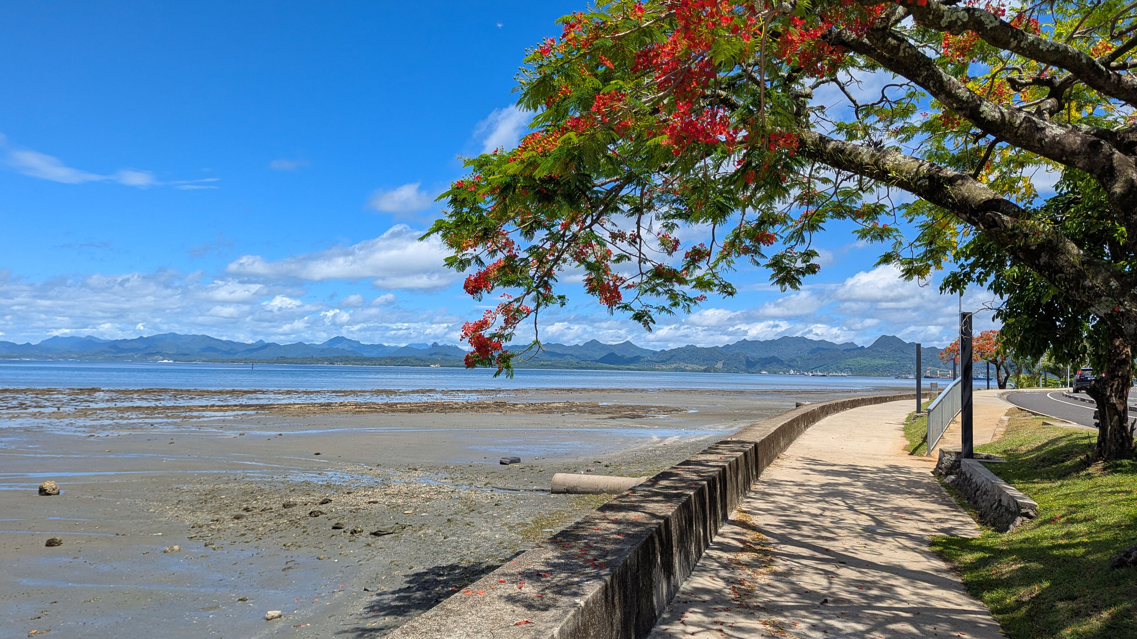 A beach with a concrete walkway, red flowers, and mountains in the background.