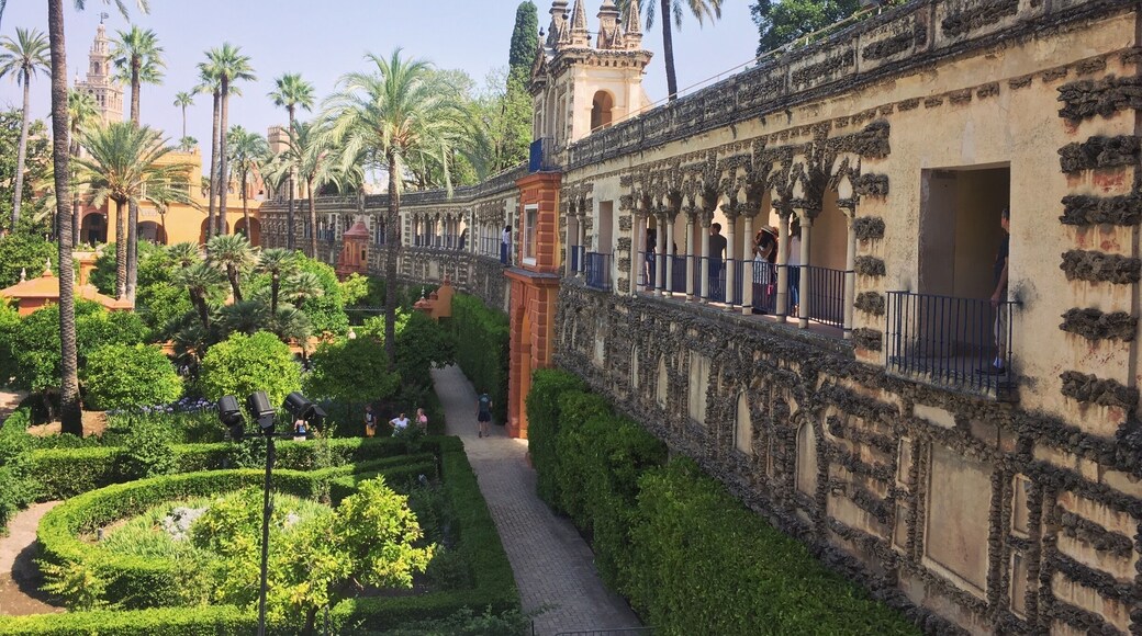 The Alcazar palace green gardens in Seville #green #lifeatexpedia #spain #sevilla