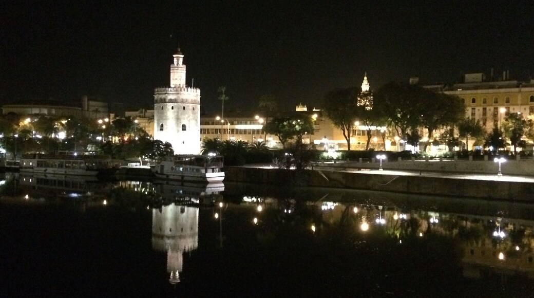 Once night falls over Sevilla, take a paseo along the river for a gorgeous view of famous sights such as El Torre del Oro.