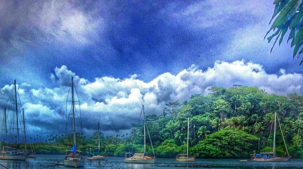 A dingy floating on the edge of Savusavu harbour, looking out over the yachts and the leafy islands just off the coast. It's a cloudy day but still bright, cooler than the last few days have been.