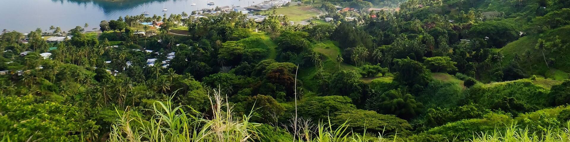 Savusavu marina and Nawi islet, Vanua Levu island, Fiji
