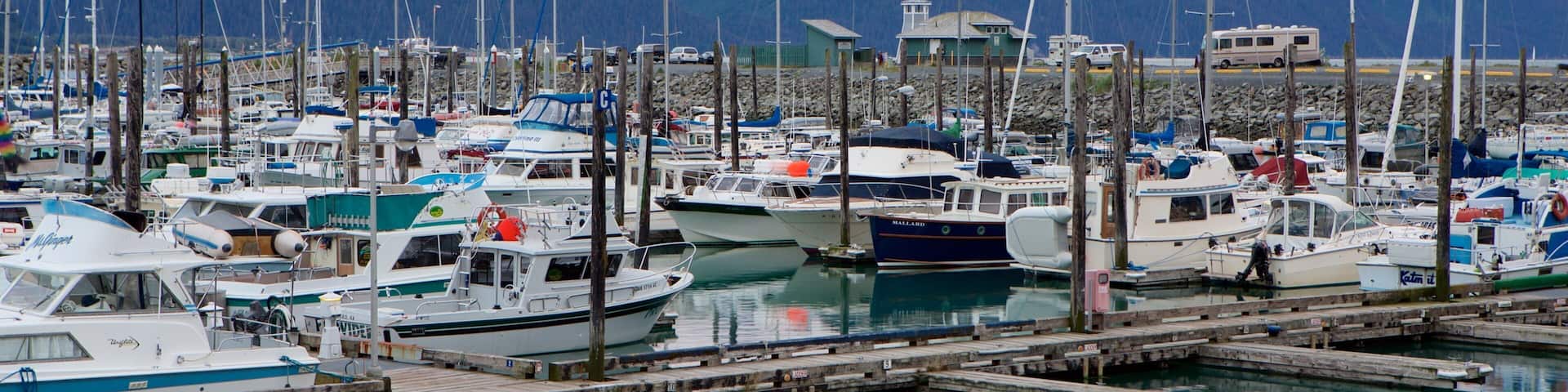 Seward mostrando navegación, vistas generales de la costa y una marina