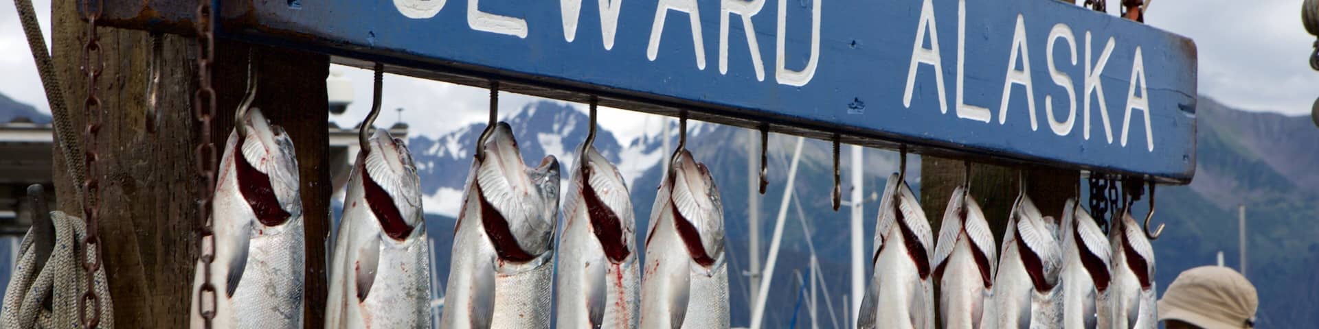 A sign reading "Caught at SEWARD ALASKA" with several fish hanging below it.