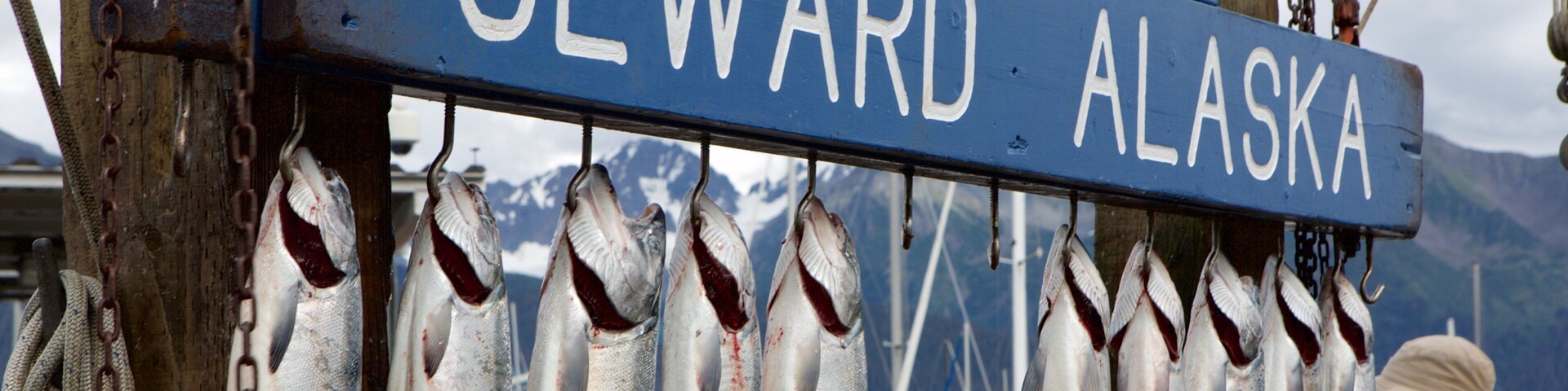 Uma placa com a inscrição 'Caught at SEWARD ALASKA', com vários peixes pendurados abaixo.
