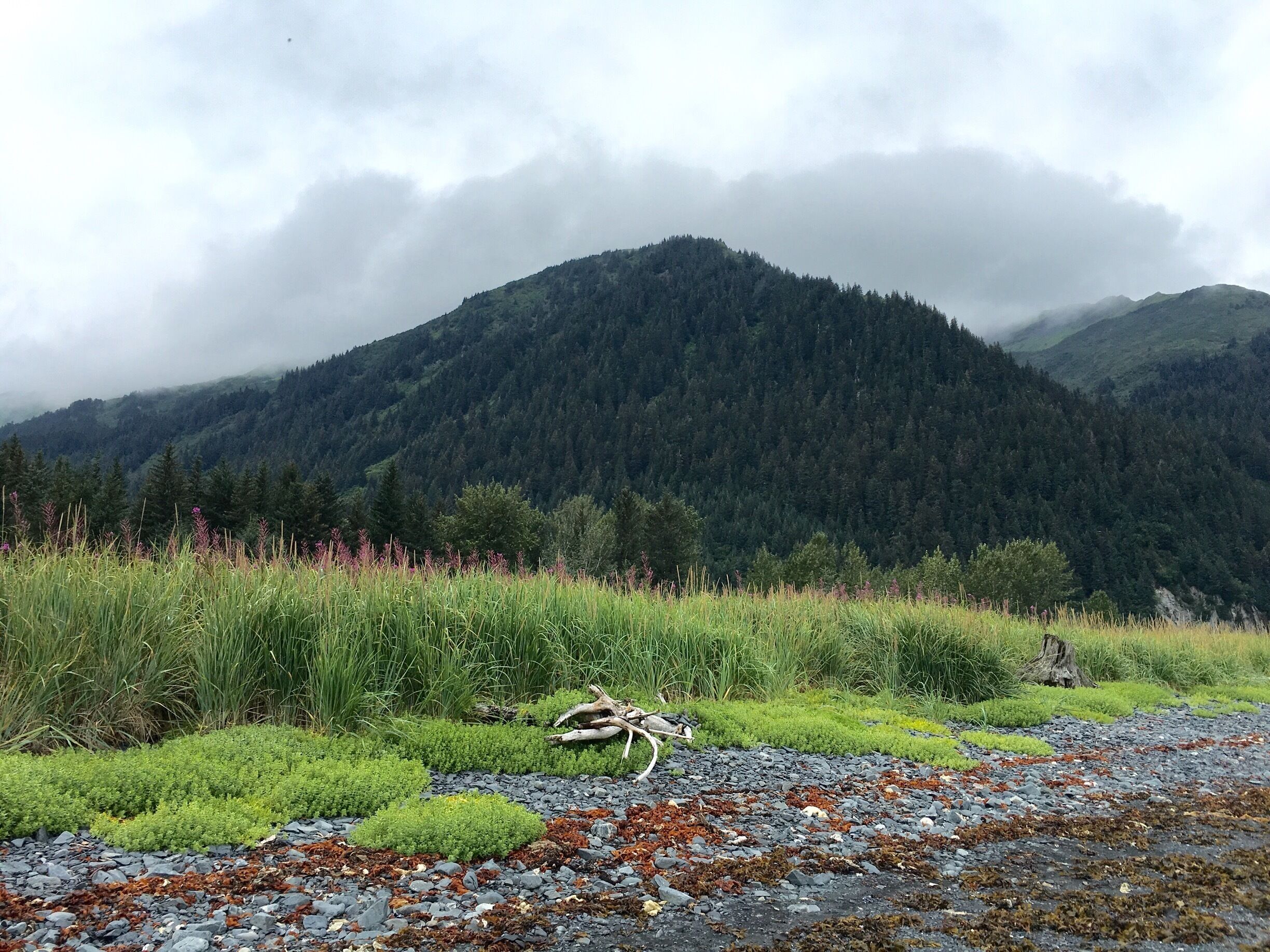 We are on the beach looking inland...