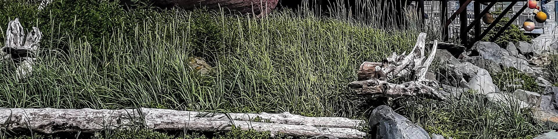 Walking along Resurrection Bay in Seward Alaska when we came across this rustic home. It was kinda breath taking. #Adventure