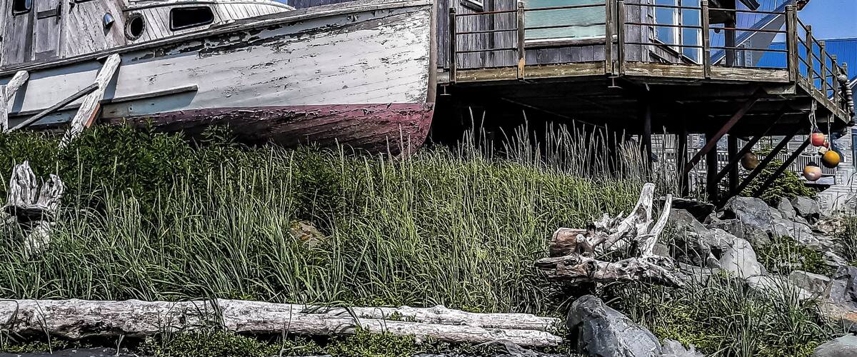 A wooden house with a dock extending into a grassy area.