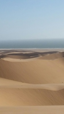 Sand dunes to the ocean. If in Swakopmund, you have to go out on the quad bikes!