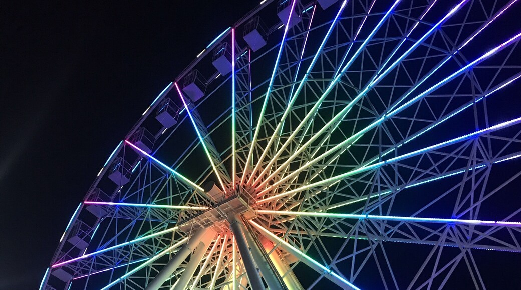 Bello romántico exótico