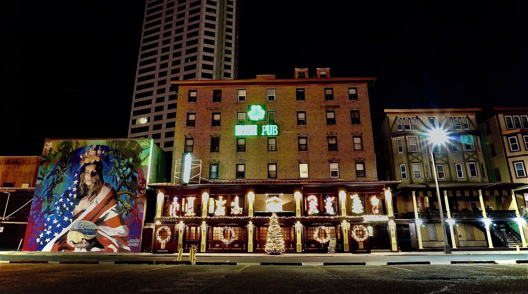The Irish Pub. Beautiful inside