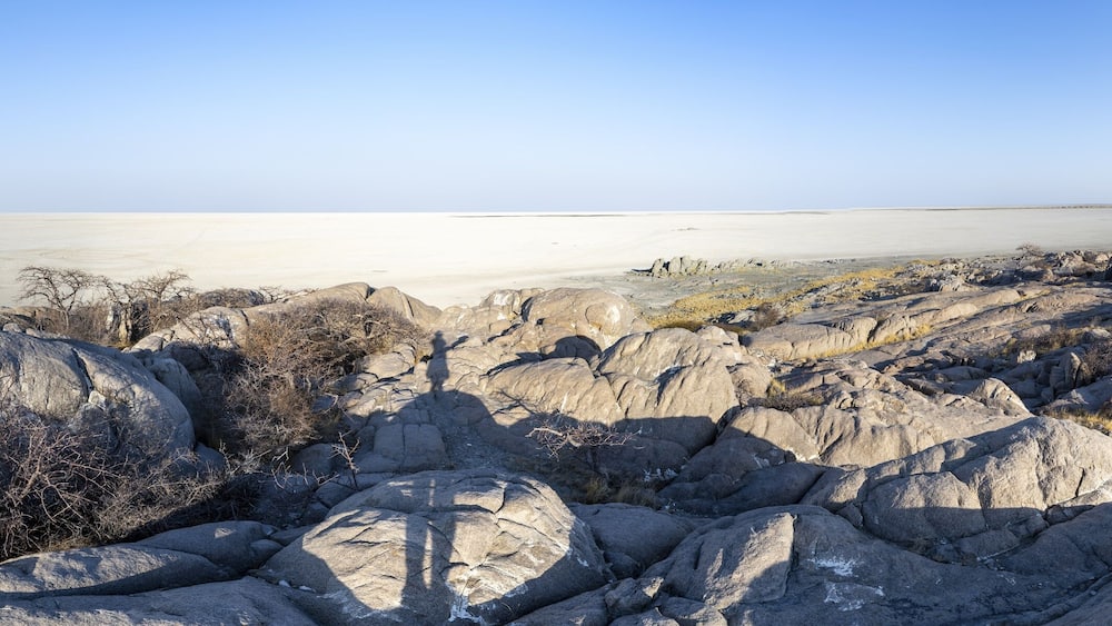 View over the salt pan of Kubu Island with round rocks, African baobab (Adansonia digitata), Kubu Island (Lekubu), Sowa Pan, Makgadikgadi Salt Pans, Botswana