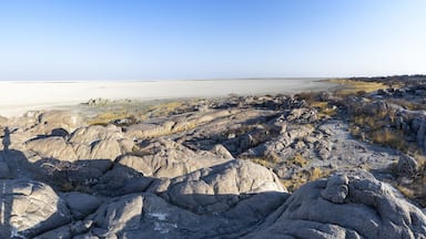 View over the salt pan of Kubu Island with round rocks, African baobab (Adansonia digitata), Kubu Island (Lekubu), Sowa Pan, Makgadikgadi Salt Pans, Botswana