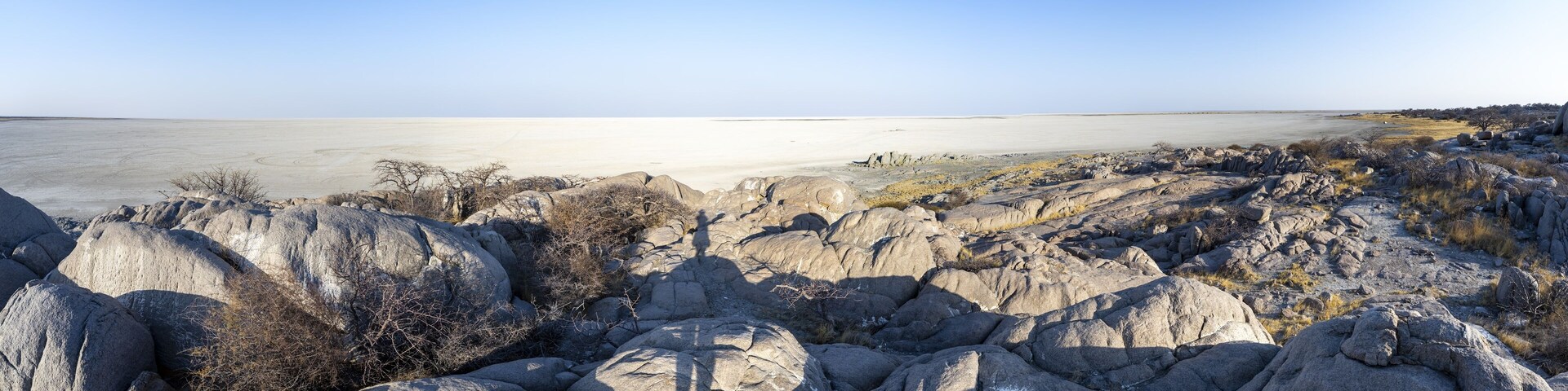 View over the salt pan of Kubu Island with round rocks, African baobab (Adansonia digitata), Kubu Island (Lekubu), Sowa Pan, Makgadikgadi Salt Pans, Botswana