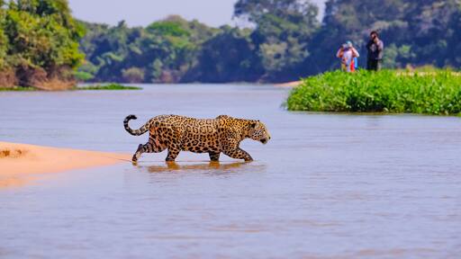 São Félix do Araguaia