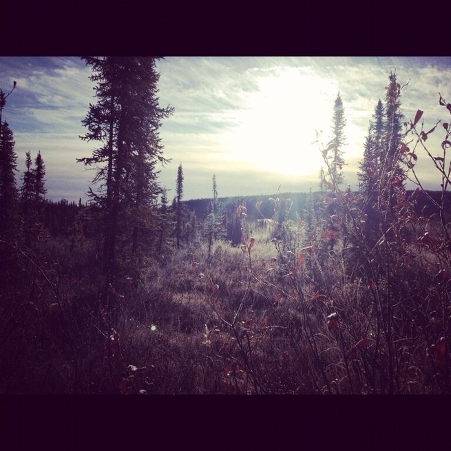Colorado Creek trailhead off of Elliot Highway, heading towards the Dalton Highway which will take you all the way north to Prudhoe Bay. There are a lot of really nice trails off the road that are just made more beautiful by seclusion and snow.