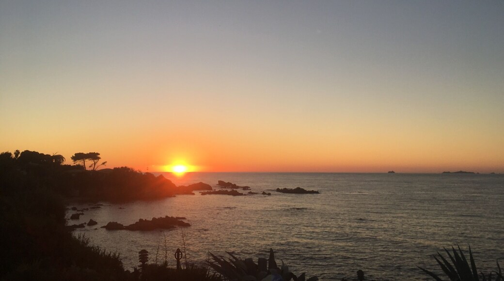 Wonderful sunrise in Corsica
#TroveonTuesday-vivelafrance