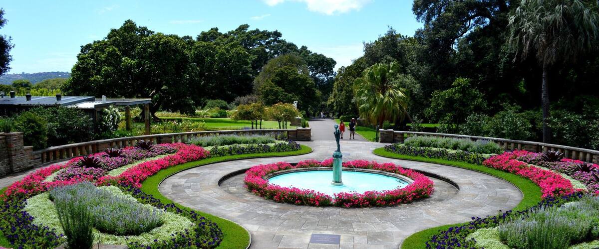 Sydney is in bloom. Vibrant colours and the variety of plants is just beautiful to see.
The Royal Botanic Gardens turns 200 this year. Worth a visit.