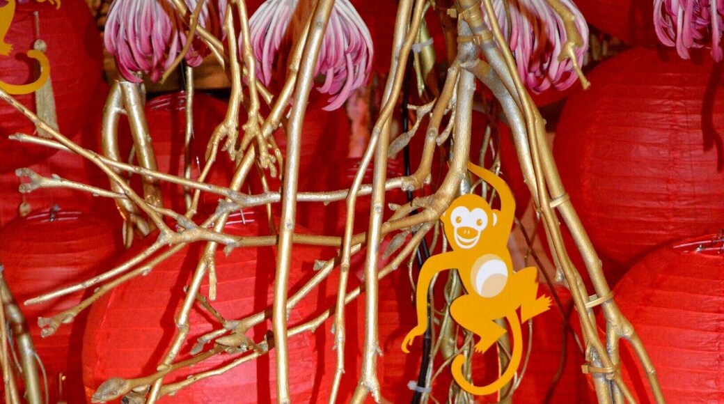 Celebrating Chinese New Year in the Queen Victoria Building, Sydney. A splendid waterfall of Reds and Pinks with golden monkeys hanging in the vines.
Chinese New Year celebrations are all over the news. But we experienced it first hand. Read it here and share if you like. https://www.facebook.com/4pairsofItchyFeet/posts/988289231242098