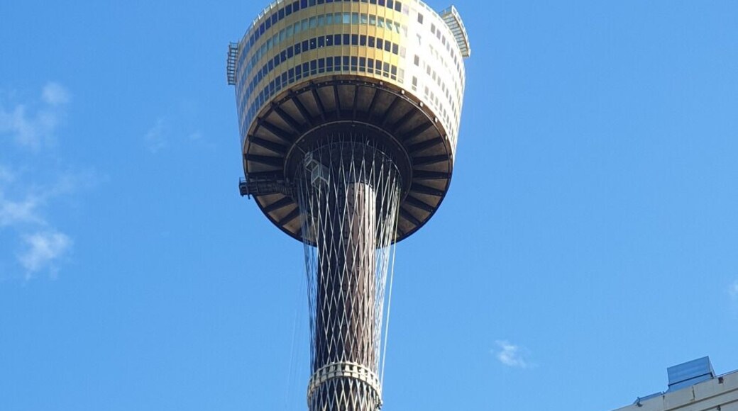 What a view ok very Sydney