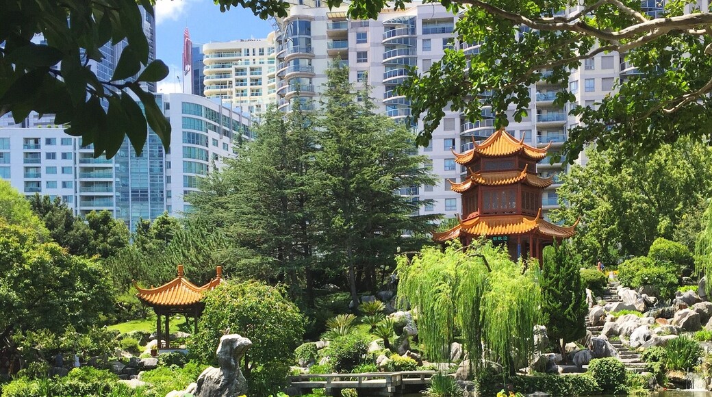 Cool to see for sure. A small sanctuary inside Sydney.