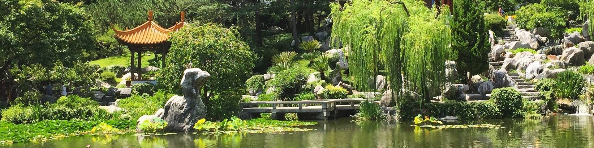 Cool to see for sure. A small sanctuary inside Sydney.