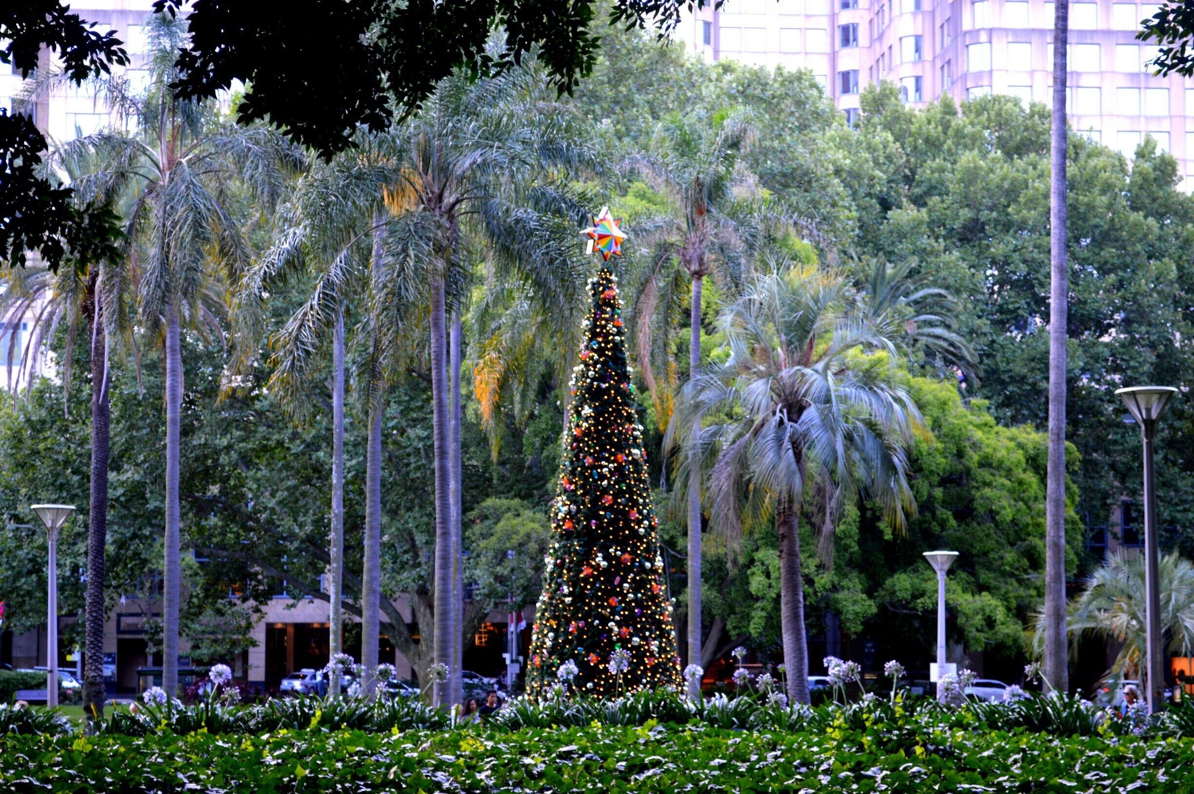 Christmas in Hyde Park