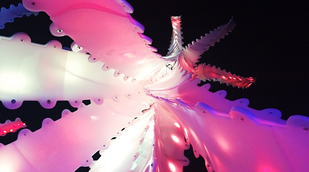 The #vivid light festival lights up #sydney every year in June. Hope I get there again this year! #lights #art #festival