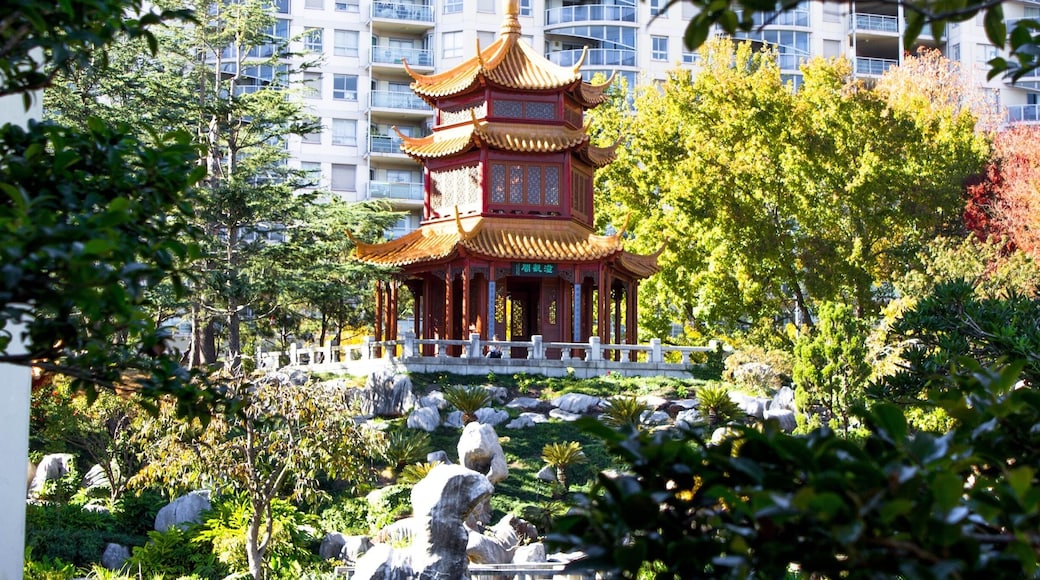 Beautiful Chinese garden in the middle of the city.