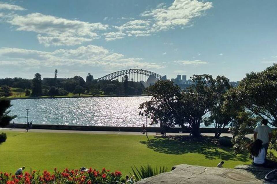 A park with a lake, a bridge, and a city skyline in the background.