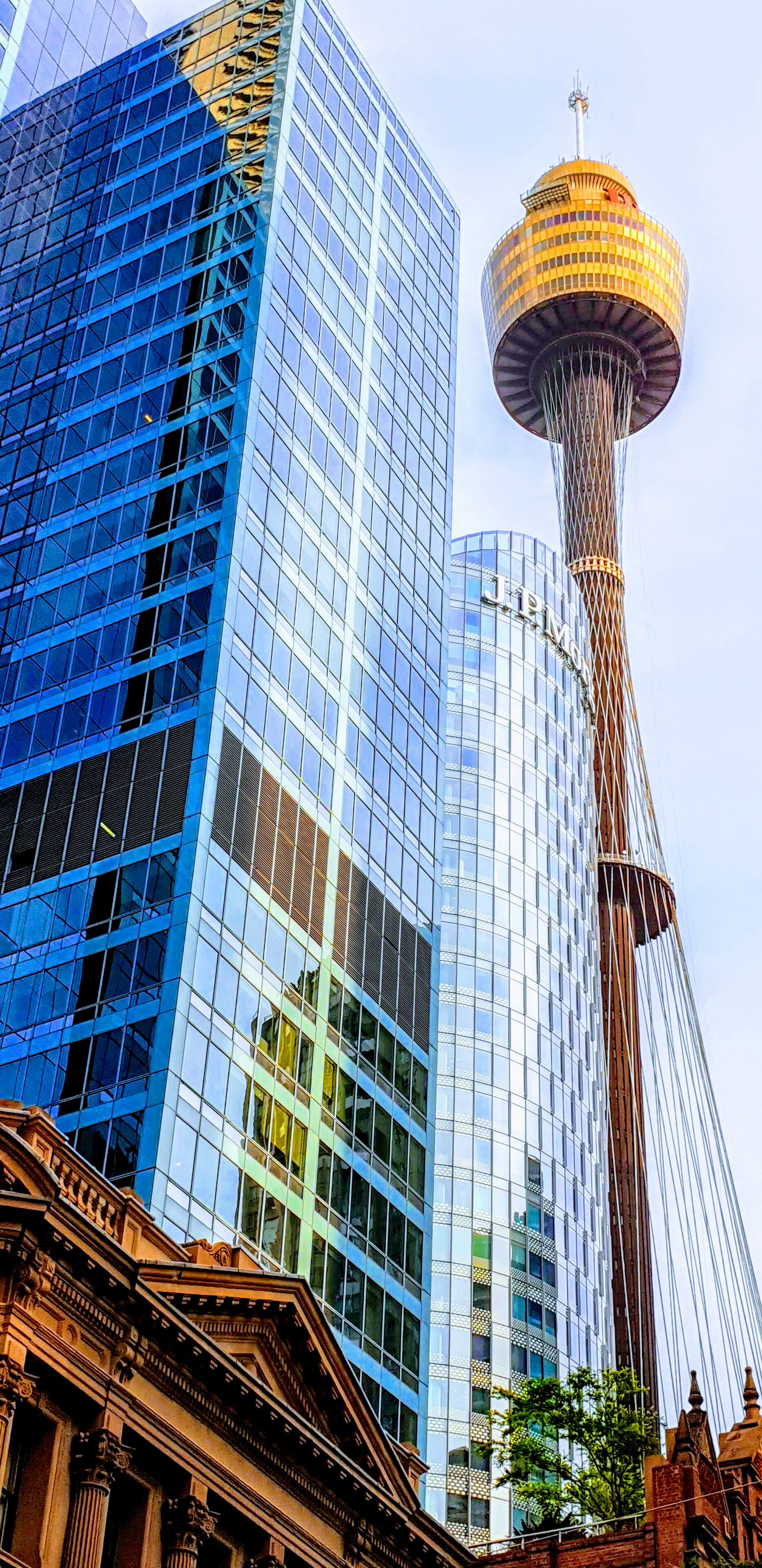 In the heart of Sydney City