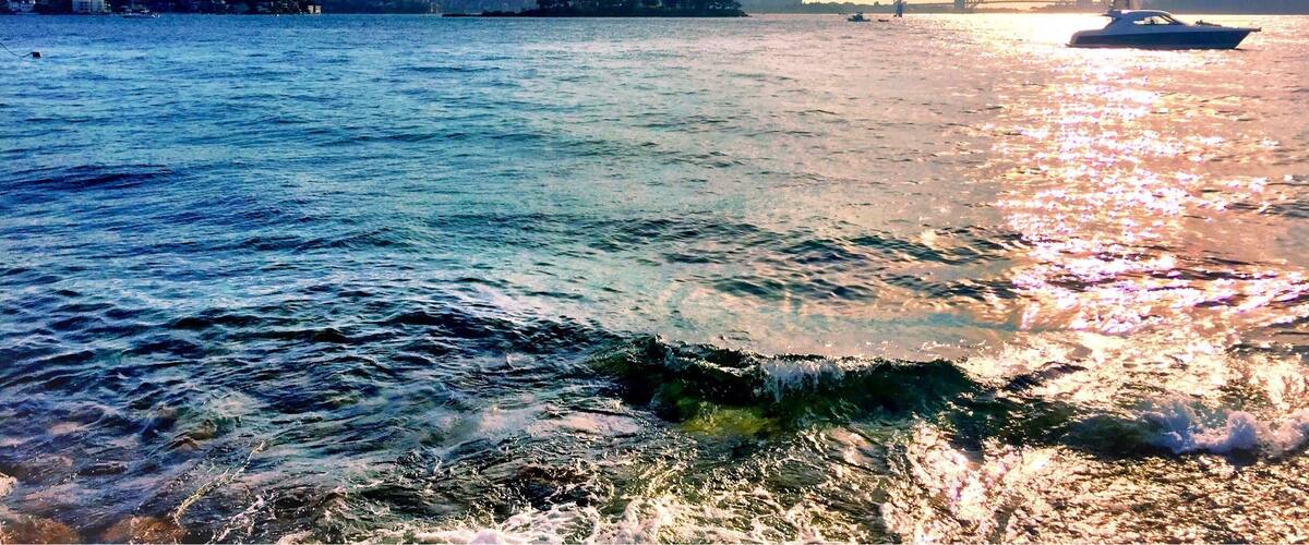 The view of Sydney Harbour from the not so secret Milk Beach