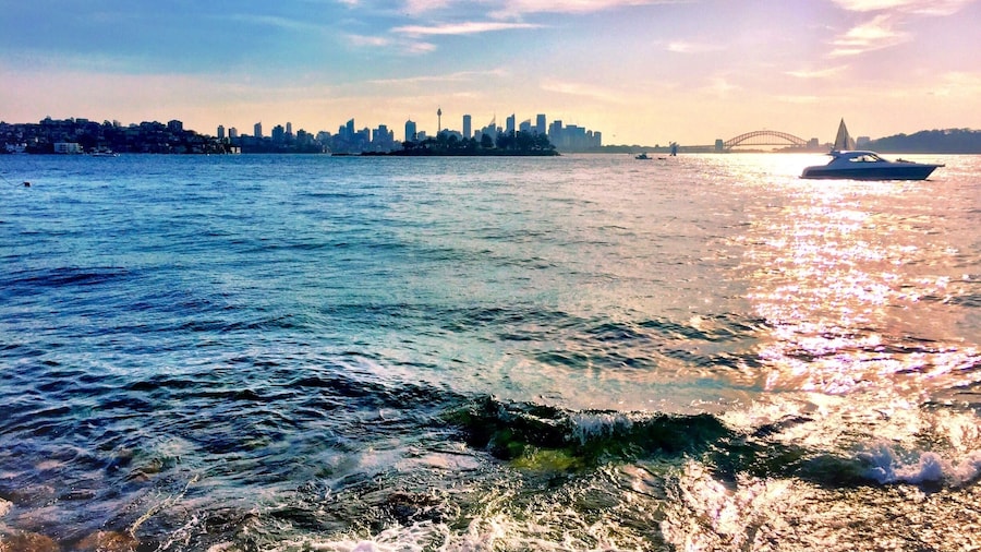 The view of Sydney Harbour from the not so secret Milk Beach