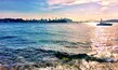 The view of Sydney Harbour from the not so secret Milk Beach