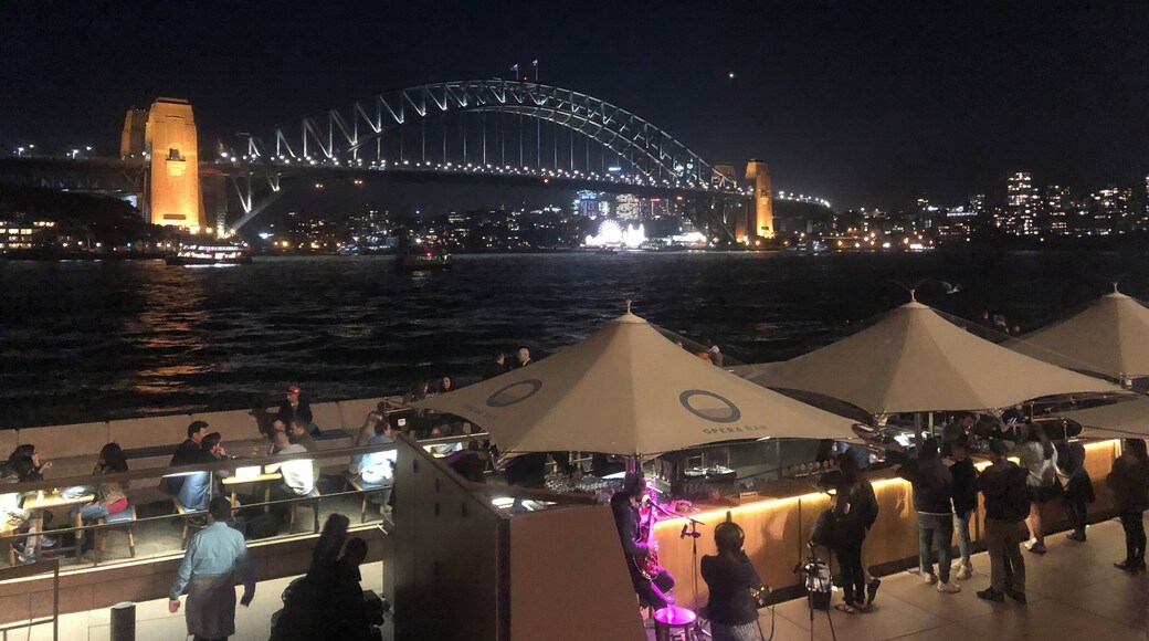 Opera Kitchen overlooking the iconic bridge. The cab driver told us it cost average AUD350 to climb the bridge.