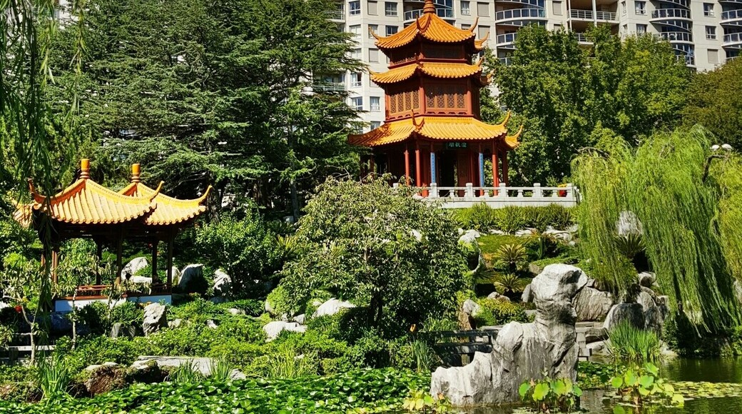 Nice little oasis in the big city