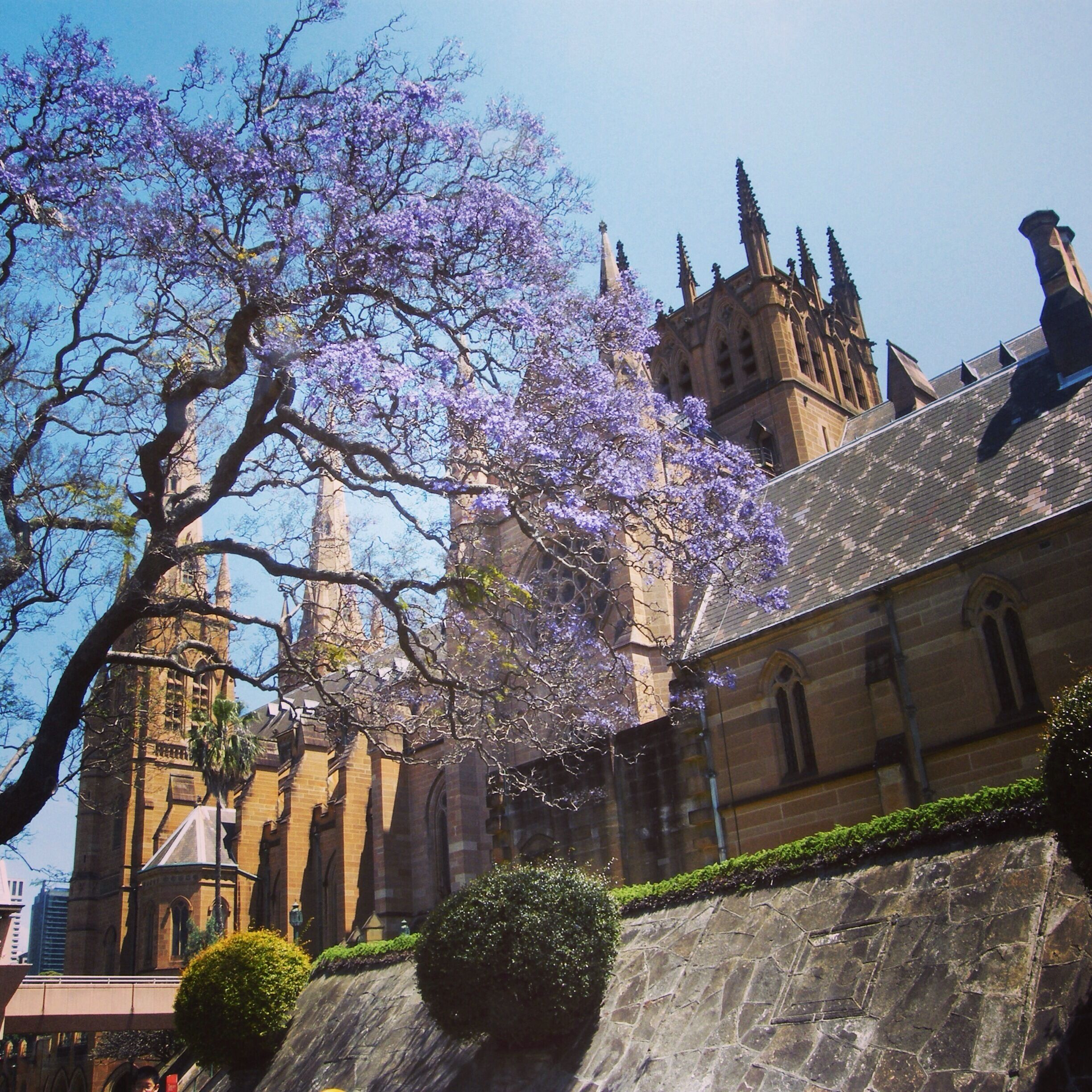 This chathedral is so beautiful and peaceful.  