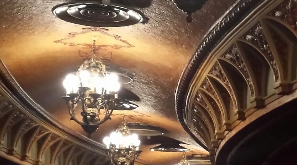 The beautiful theatre which is home to the annual Sydney Film Festival. I still get in awe everytime I attend an event here. This is my fifth time this week, and I cannot get enough of it.