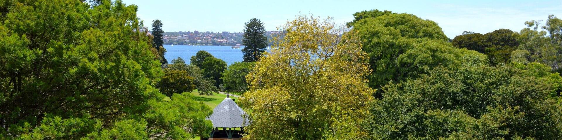 Sneak peek of Sydney Harbour.
The Royal Botanic Gardens turns 200 this year. Worth a visit.