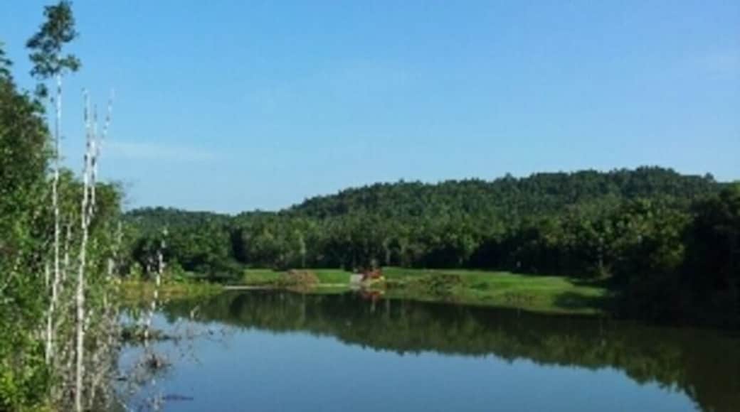 Beautiful golf courses