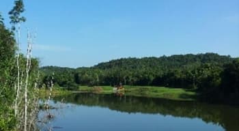 Beautiful golf courses