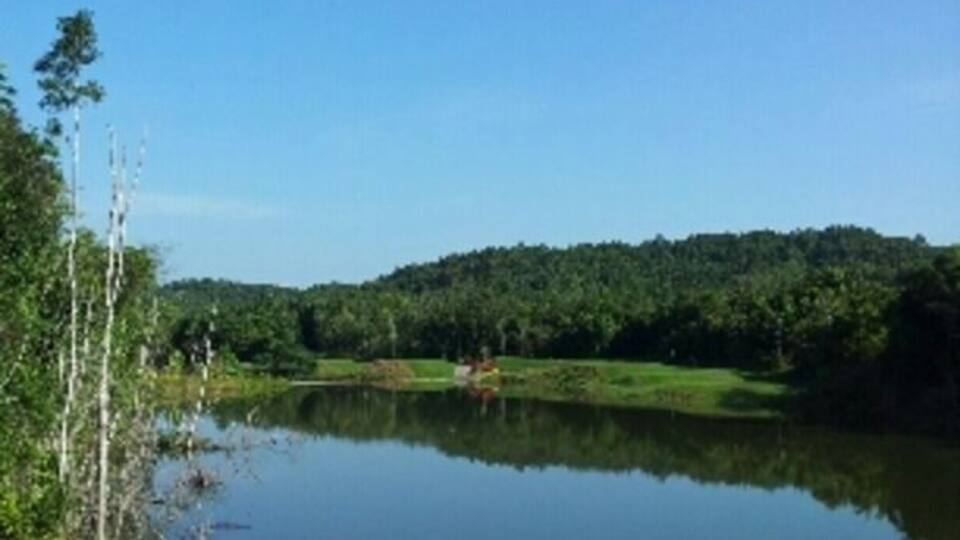 A calm lake surrounded by greenery and trees.