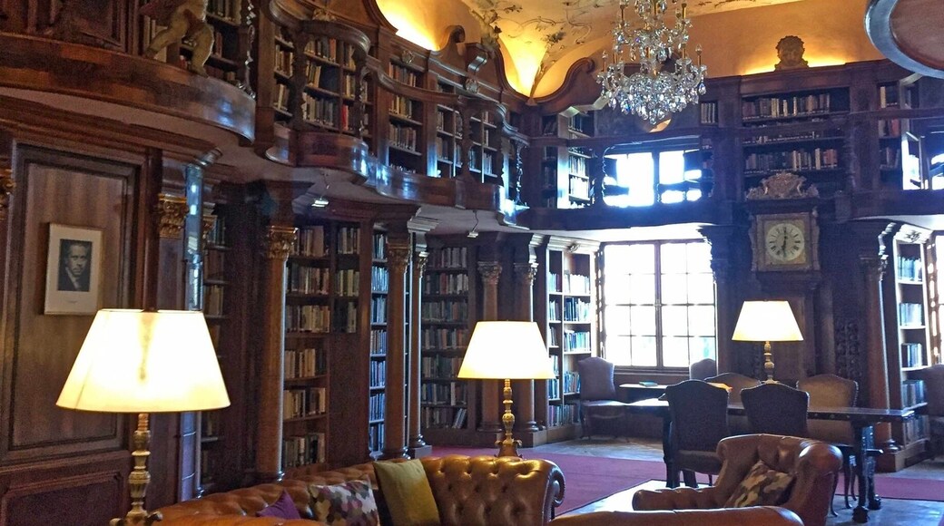 The almost-300 year old library of the Schloss.