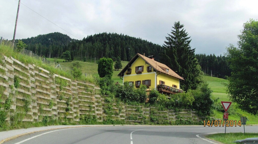 Tale cottage on our way to Salzburg, it was fascinating driving by this scenery, I definitely would do it again!!