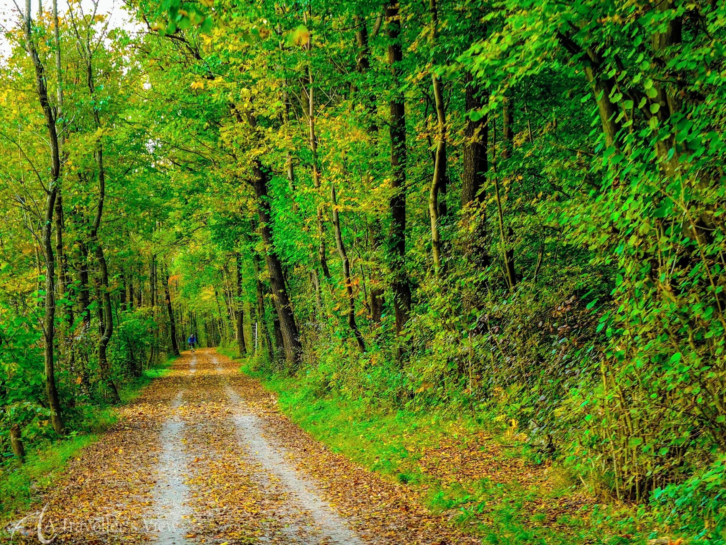 Oberalm cycle path along the Salzach river just outside Salzburg.