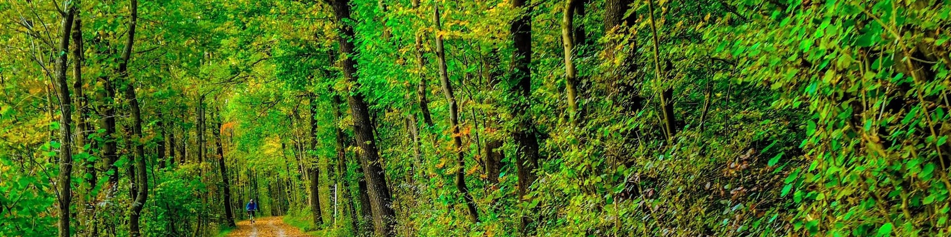Oberalm cycle path along the Salzach river just outside Salzburg.