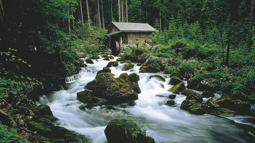 Golling an der Salzach bevat bossen, stroomversnellingen en een rivier of beek